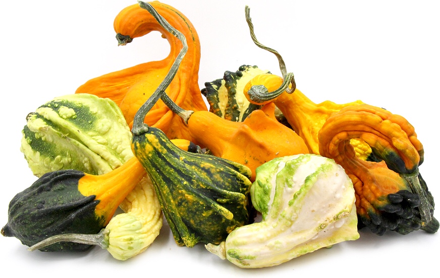 Hungry Ginger Recommends – First Day of Fall&nbsp;Edition